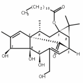 54706-70-6正十二烷酸巨大戟酯