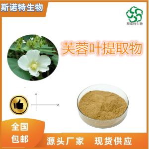 芙蓉叶提取物 比例提取  多种规格 食品级