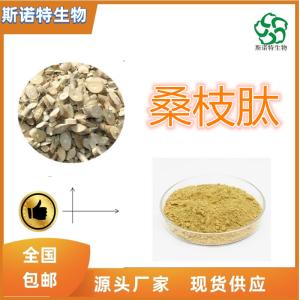 桑枝肽 桑枝小分子肽 500道尔顿 全水溶 食品级