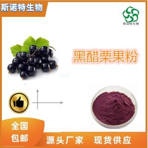 黑醋栗浓缩汁粉 食品级 全水溶 无沉淀