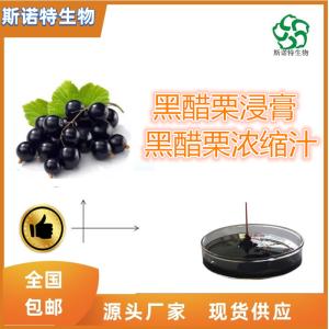 黑醋栗浸膏 黑醋栗流浸膏 比重1.1-1.3 全水溶 食品原料