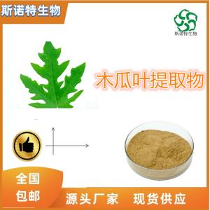 木瓜叶提取物 比例提取 供应 免费试样