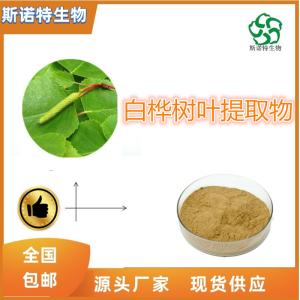 白桦树叶提取物 桦树叶提取物 SC 供应 *