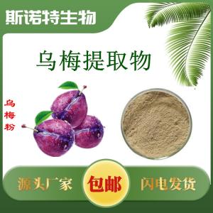 乌梅粉 乌梅提取物粉