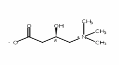 541-15-1左旋肉碱、L-肉碱、卡尼丁