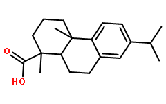 灯台叶总生物碱