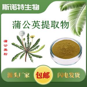 主营蒲公英提取物 食品级原料粉