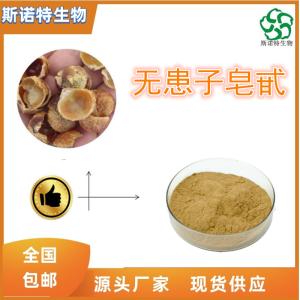 无患子皂甙40% 无患子提取 多种规格 可定制