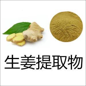 生姜提取物水溶精细粉 斯诺特可定制姜辣素