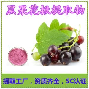 黑果腺肋花楸提取物 花青素