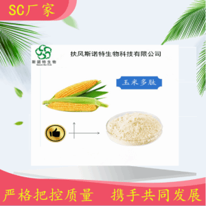 玉米肽    玉米低聚肽 玉米肽粉   小分子肽   酶切割技术
