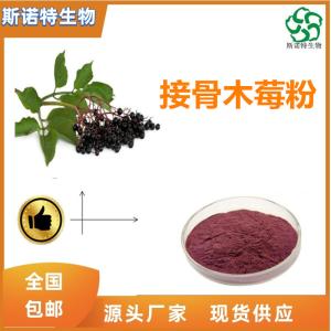 速溶接骨木果粉 水溶性粉 接骨木粉 无沉淀 供应