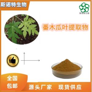 番木瓜叶提取物 比例提取 多种规格 供应