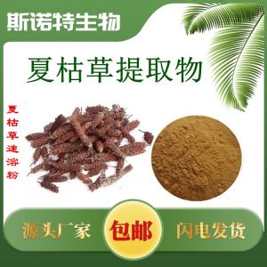 夏枯草提取物 浸膏粉原料