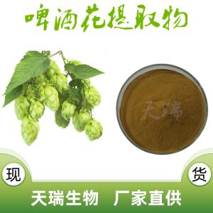 啤酒花提取物 啤酒花黄酮10% 多规格啤酒花提取物粉