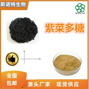 紫菜多糖30%  紫菜提取物 食品级 供应