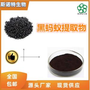 黑蚂蚁提取物 比例提取 可定制 供应