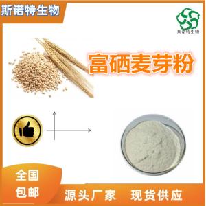 富硒麦芽粉 硒含量200ppm 供应 免费试样