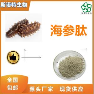海参多肽 海参蛋白肽 小分子肽 附带外检报告 可定制