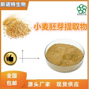 小麦胚芽浓缩粉 小麦胚芽提取物 食品级 供应