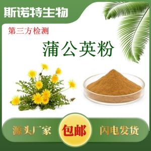 蒲公英粉 蒲公英提取物
