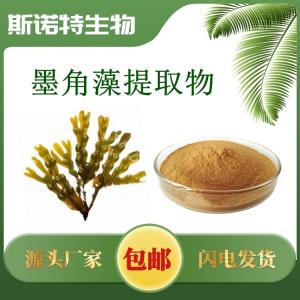 墨角藻提取物 批发 墨角藻提取粉
