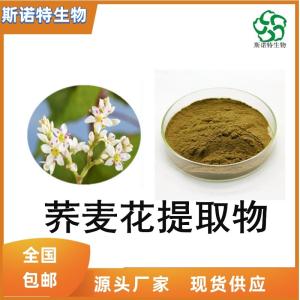 荞麦花粉 荞麦花提取物20:1 食品级原料 1KG起订
