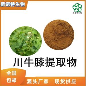 川牛膝提取物 牛膝多糖50% 多种规格 可定制