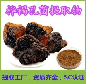 桦褐孔菌提取物 食品级全水溶