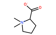 471-87-4水苏碱