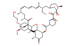 159351-69-6依维莫司