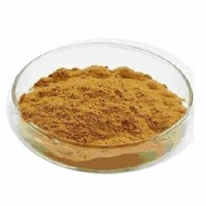 牛膝多糖水溶性怀牛膝粉提取物供应