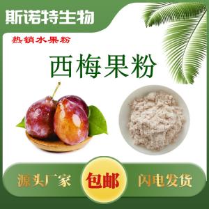 西梅粉 西梅果粉  