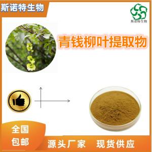 青钱柳多糖50% 青钱柳叶提取  新资源食品原料