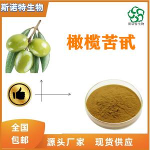 橄榄苦甙80% CAS:32619-42-4  多种规格 可定制