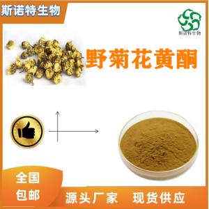 野菊花黄酮50% 野菊花提取物 SC供应 多种规格 