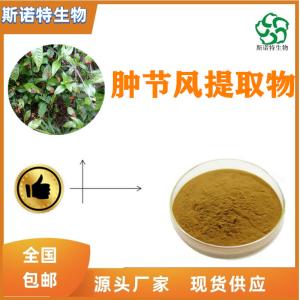 肿节风提取物 比例提取 异嗪皮啶 多种规格 可定制