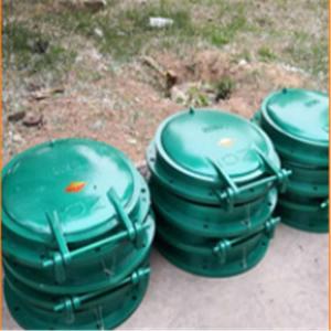 河北防倒灌不锈钢拍门实体