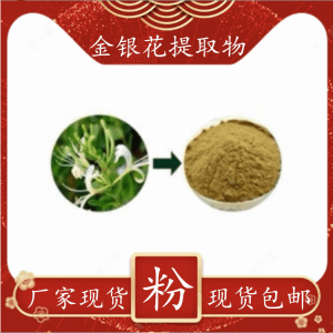 金银花提取物 多规格比例浓缩 斯诺特生物定制