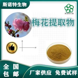 梅花提取物 食品级 梅花速溶粉 免费试样