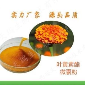 叶黄素20%的价格万寿菊粉叶黄素素