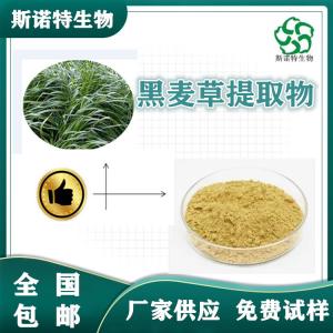 黑麦草浓缩粉 黑麦草提取物30:1 高倍浓缩 全水溶