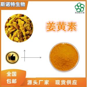 姜黄素99% 食品级 SC供应 免费试样