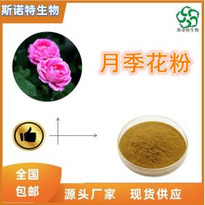 月季花粉 月季花浓缩粉 高倍浓缩 全水溶 