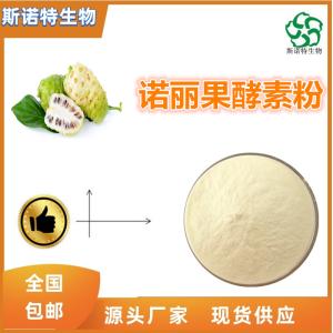 诺丽果酵素粉 诺丽果粉 食品级原料 供应