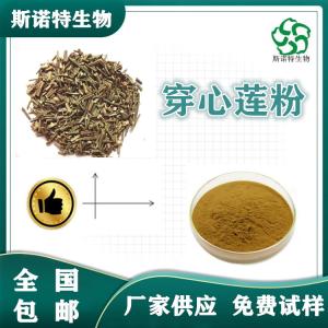 穿心莲粉 供应 穿心莲原粉 多种规格