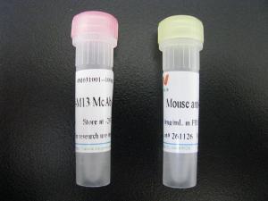 PathScan® Phospho-ALK (Tyr1604) Chemiluminescent Sandwich EL