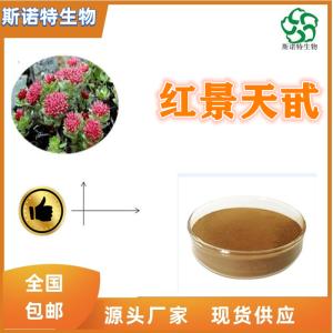 红景天甙10% 红景天苷 多种规格 *供应 可定制