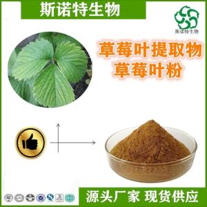 草莓叶提取物 比例提取 高倍浓缩 食品级 全水溶
