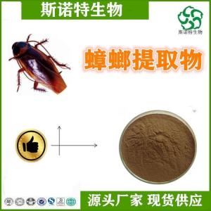 蟑螂提取物 美洲大蠊提取物 比例提取 全水溶 可定制
